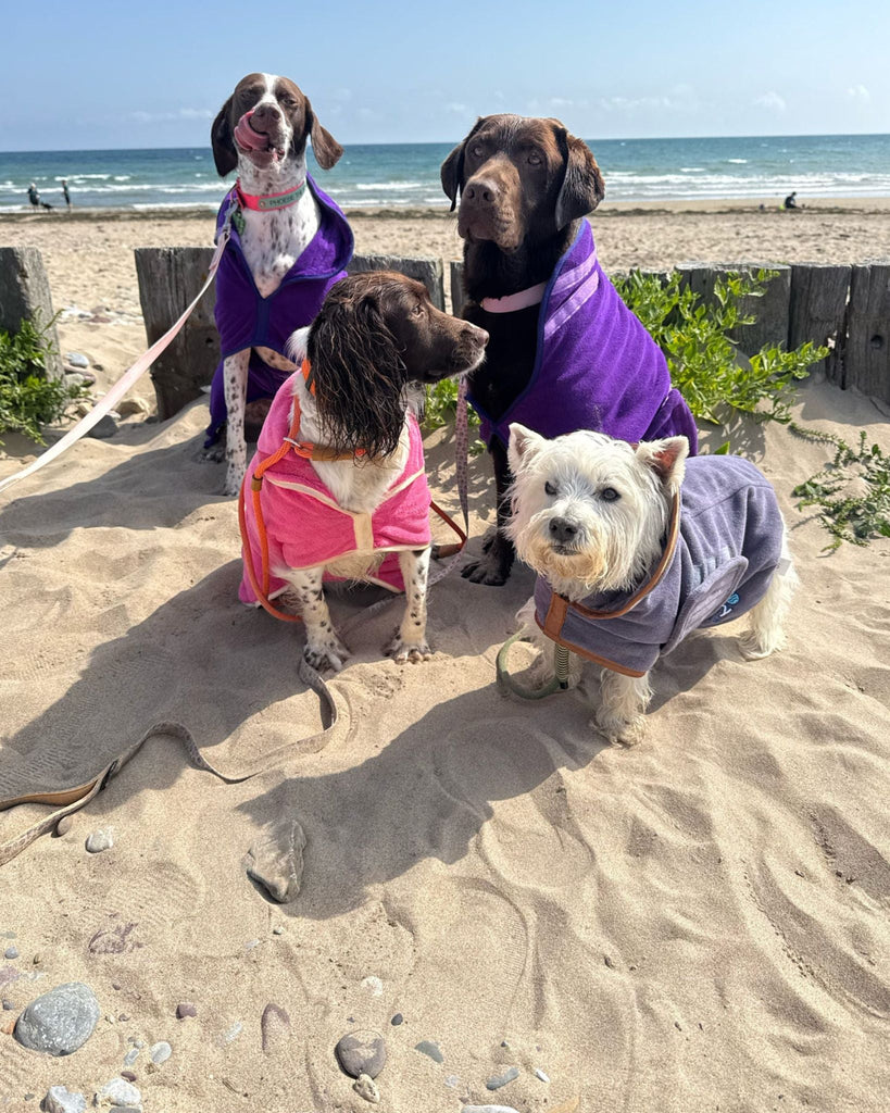 Earth & tide robes - Doggy Dry