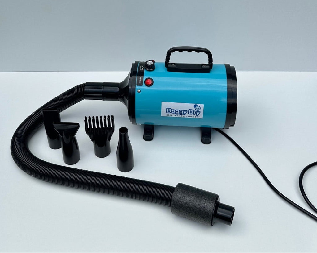 Blue hair dryer with attachments on a white background