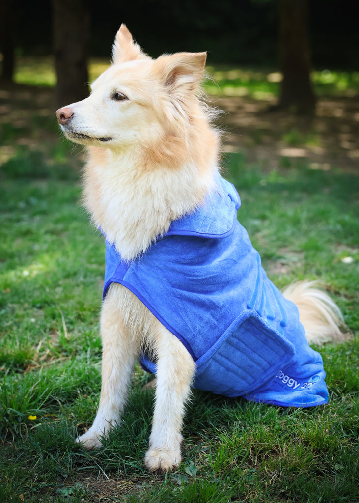 Pet Dryer Dryer Doggy Dry Dryer for pets