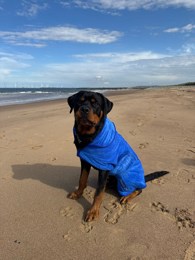 Pet Dryer Dryer Doggy Dry Dryer for pets