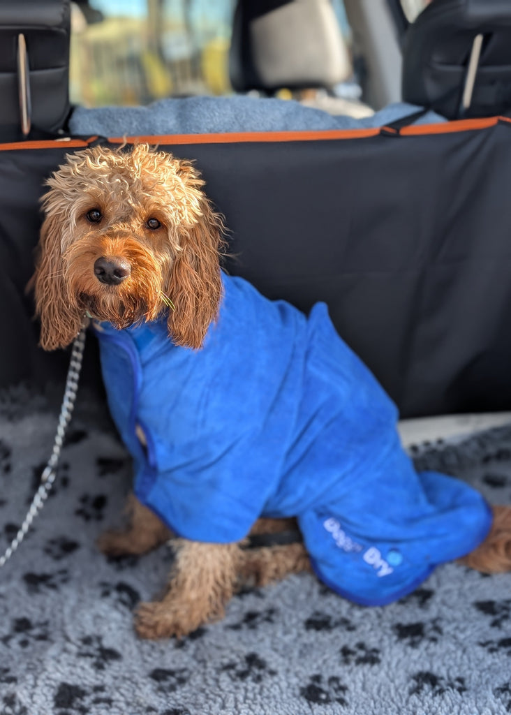 Pet Dryer Dryer Doggy Dry Dryer for pets