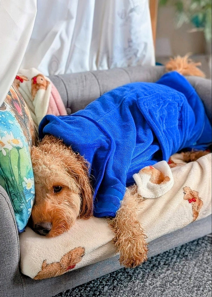 Pet Dryer Dryer Doggy Dry Dryer for pets