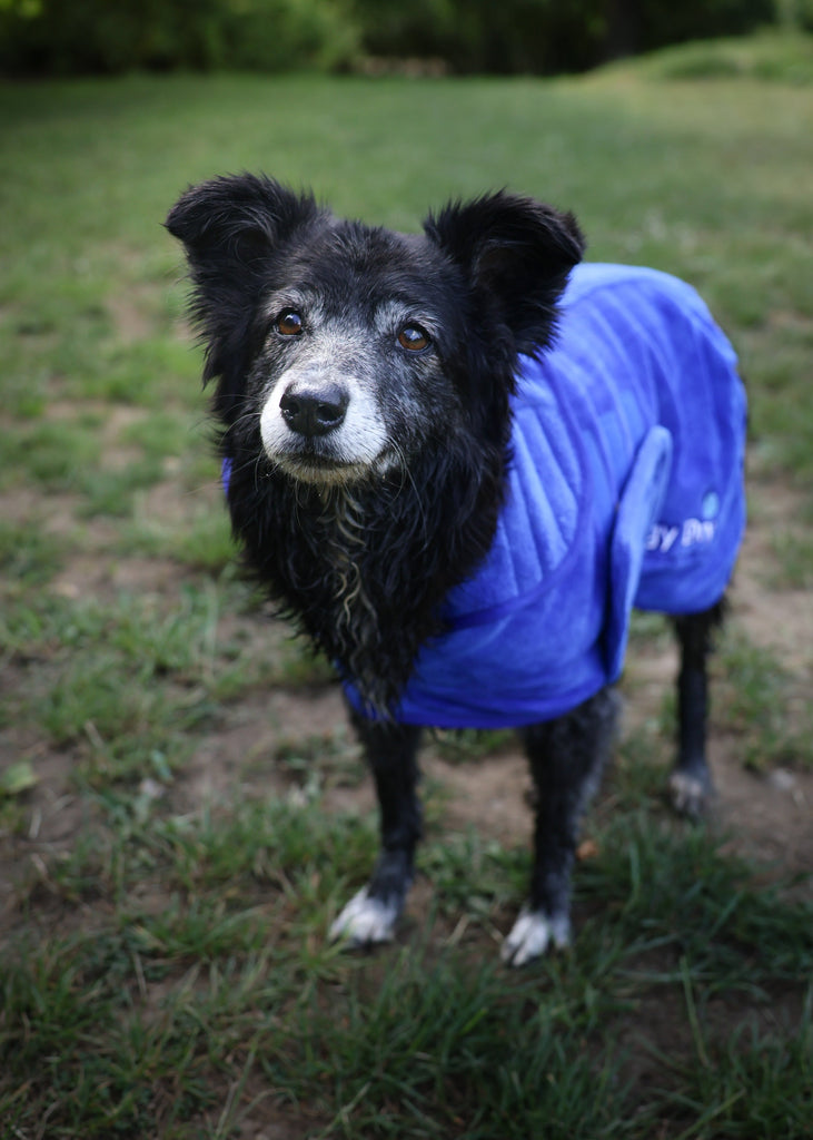 Pet Dryer Dryer Doggy Dry Dryer for pets