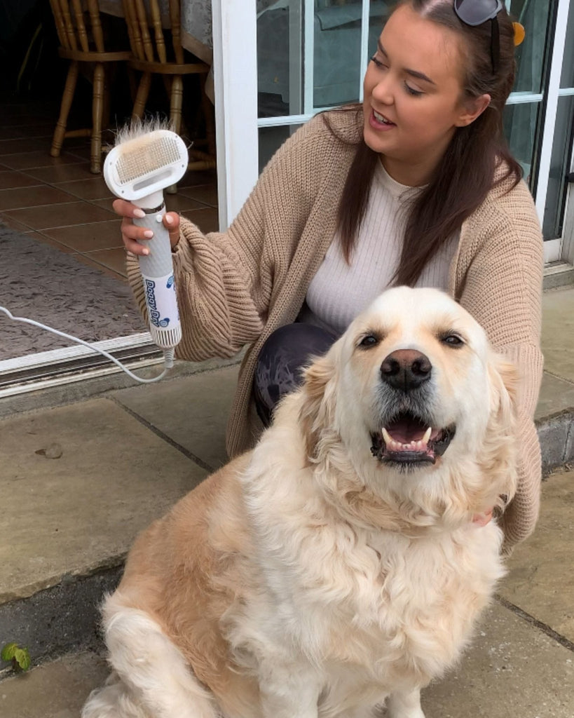 Pet Dryer Dryer Doggy Dry Dryer for pets