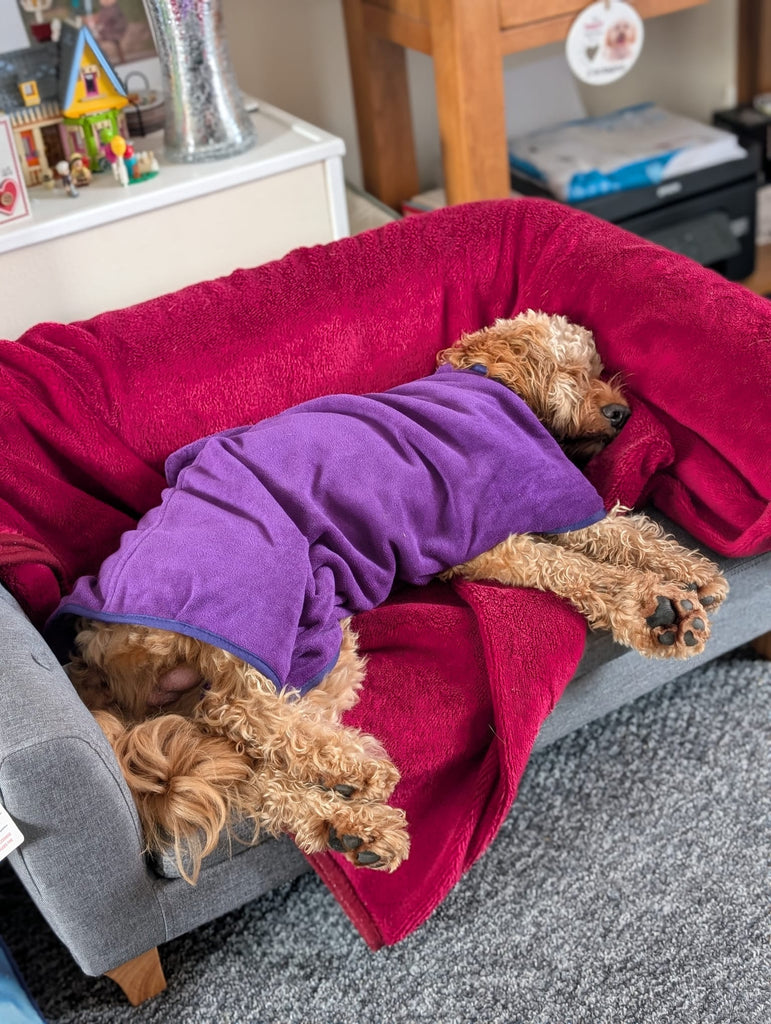 Pet Dryer Dryer Doggy Dry Dryer for pets