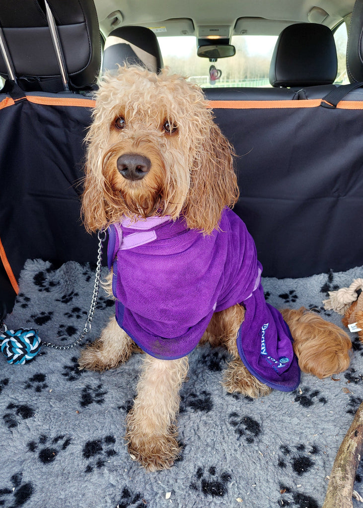 Pet Dryer Dryer Doggy Dry Dryer for pets