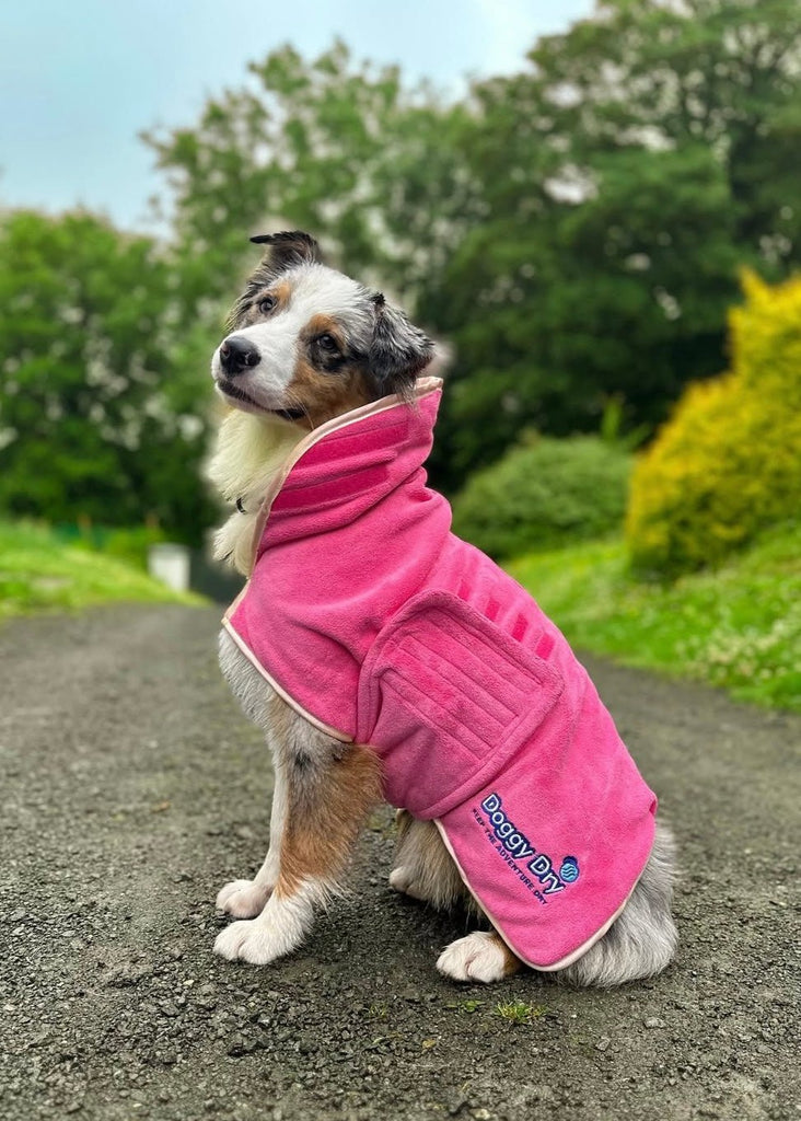 Pet Dryer Dryer Doggy Dry Dryer for pets